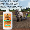Picture of Absorbine Veterinary Liniment Topical Analgesic Sore Muscle and Arthritis Pain Relief Warming Liniment Rub, 12 Ounce Gel