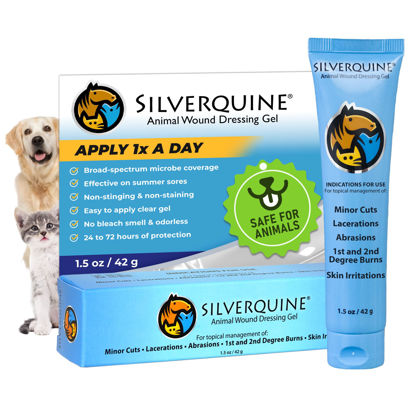 Picture of Silverquine Pet Cut & Itch Care - Hot Spot Gel for Dogs, Cats, Horses - Hydrogel - Skin & Coat Care - Anti-Itching for Cats - for Cuts, Burns, Skin Irritation - Pet Recovery - 1.5OZ