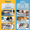 Picture of Silverquine Pet Cut & Itch Care - Hot Spot Gel for Dogs, Cats, Horses - Hydrogel - Skin & Coat Care - Anti-Itching for Cats - for Cuts, Burns, Skin Irritation - Pet Recovery - 1.5OZ