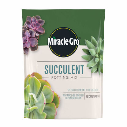 Picture of Miracle-Gro Succulent Potting Mix, For Indoor Succulents, Aloe Vera and More, Made with Miracle-Gro Plant Food, 4 qt