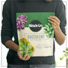 Picture of Miracle-Gro Succulent Potting Mix, For Indoor Succulents, Aloe Vera and More, Made with Miracle-Gro Plant Food, 4 qt