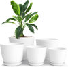 Picture of Utopia Home - Plant Pots Indoor with Drainage - 7/6.6/6/5.3/4.8 Inches Flower Pots for Indoor Planter - 5 Pack Plastic Planters - Ideal for Stocking Stuffers or Home Christmas Decorations - White