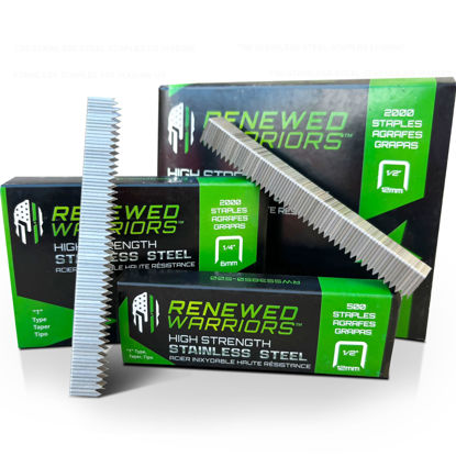 Picture of T50 Stainless Steel Staples 1/2 Marine; T/50 Type (1/2" in Leg; 3/8" Crown) T-50 Staples - (500 Count Pack)