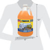 Picture of Rain-X All Season 2-In-1 Windshield Washer -25°F - 1 Gallon