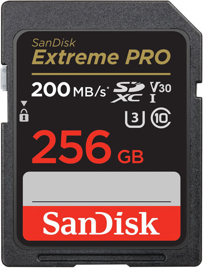Picture of SanDisk 256GB Extreme PRO SDXC UHS-I Memory Card - C10, U3, V30, 4K UHD, SD Card - SDSDXXD-256G-GN4IN, Dark gray/Black