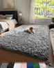 Picture of Ophanie Upgrade 4x6 Rugs for Bedroom, Grey, Fluffy Shaggy Soft Area Rug, Gray Non-Slip Indoor Floor Carpet for Living Room, Kids Baby Boys Teen Dorm Home Decor Aesthetic, Nursery, Rug