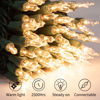 Picture of Clear Christmas String Lights 100 Count 25 Feet Incandescent Bulb Mini Lights for Indoor Xmas Tree Garland Birthday Wedding Party Festival Decoration, Green Wire