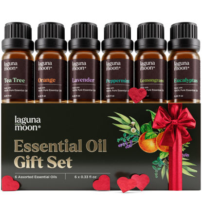 Picture of Essential Oils Set - Top 6 Blends for Diffusers, Home Care, Candle Making Scents, Fragrance, Aromatherapy, Humidifiers, Gifts - Peppermint, Tea Tree, Lavender, Eucalyptus, Lemongrass, Orange (10mL)