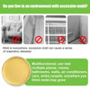 Picture of Mold Test Kit for Home - 6 Simple Detection Tests,Test HVAC System,Home Surfaces,&Indoor Air Quality Testing Kits,DIY black Mold Detector at Home,Includes Detailed Mold Identification Guide,air Tester