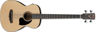 Picture of Ibanez PCBE12MH Acoustic/Electric Bass, Open Pore Natural