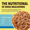 Picture of WormsFarm 10lb Dried Mealworms for Wild Birds Chickens Feed for Laying Hens,Ducks,Reptiles