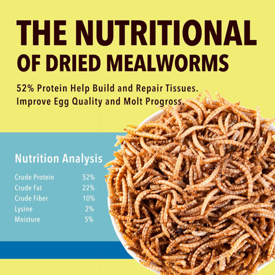 GetUSCart- WormsFarm 10lb Dried Mealworms for Wild Birds Chickens Feed ...