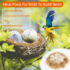 Picture of Sukh 2 Pack Bird Nesting Material - Bird Nests Bedding Hummingbird Nesting Material Mixing Canary Nesting Material Finch Nesting Material Parakeet Nesting Materials for Cage,Gardens,Tree Trunks (80G)