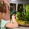 Picture of PAIZOO Fish Tank Digital Thermometer Accurate LED Display to ±0.9°F Tank Thermometer Aquarium Temperature Measurement Suitable for Fish, Axolotl, Turtle or Aquatic