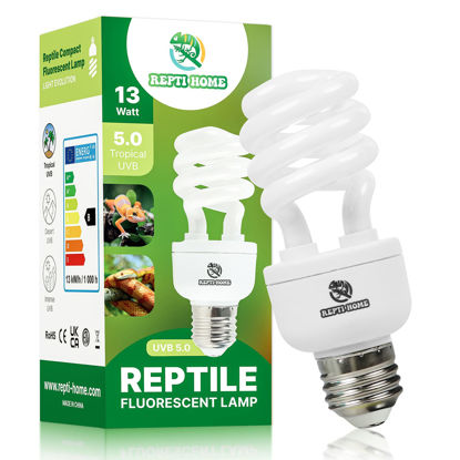 Picture of REPTI HOME UVB Reptile Light 5.0, 13W Tropical and Sub-Tropical UVA UVB Bulb for Reptiles, Tropical Terrarium Compact Fluorescent Lamp, Reptile UVB Light Bulb for Chameleons, Iguanas and Turtles