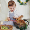 Picture of Sofier 32Pcs Timothy Hay Sticks 320g Rabbit Toys Bunny, Guinea Pig Toys Natural Hamster Toys for Teeth Handmade Treats and Chews Chinchilla Rat Gerbil