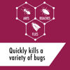Picture of Stem Kills Ants, Roaches And Flies: Plant-Based Active Ingredient Bug Spray, Botanical Insecticide For Indoor And Outdoor Use; 12 fl oz (Pack Of 1)