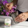 Picture of Garden Safe Brand TakeRoot Rooting Hormone, Helps New Plants grow from Cuttings, 2 Ounces, 2 Pack