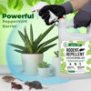 Picture of Mighty Mint Gallon (128 oz) Rodent Natural Peppermint Oil Spray