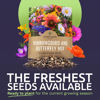 Picture of Wildflower Seeds Butterfly and Humming Bird Mix - Large 1 Ounce Packet 7,500+ Seeds - 23 Open Pollinated Annual and Perennial Species