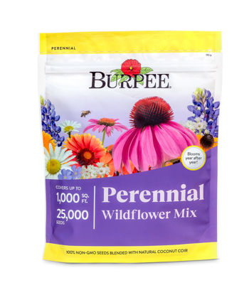 Picture of Burpee Wildflower 25,000 Bulk, 1 Bag | 18 Varieties of Non-GMO Flower Seeds Pollinator Garden, Perennial Mix