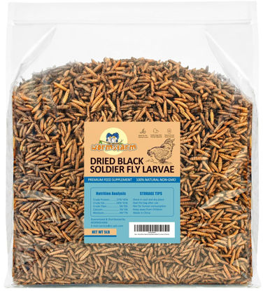 Picture of WormsFarm 5LB Dried Black Soldier Fly Larvae Treat for Chicken More Calcium Than Mealworms,for Laying Hen,Wild Birds (5 Pound)