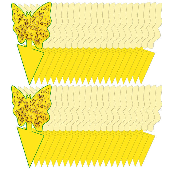 Picture of 40 Pack Fungus Gnat Traps for House Indoor, Fungus Traps Fruit Fly Traps for Indoors Gnats Sticky Traps for Plants Yellow Sticky Traps for Gnats