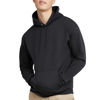 Picture of Hanes Men's Pullover EcoSmart Hooded Sweatshirt, Black, Large