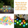 Picture of Cidinge 60 Pcs Mini Resin Ducks Luminous Tiny Ducks Miniature Duck Glow in The Dark for DIY Garden Dollhouse Duck Accessories Micro Landscape Aquarium Party Decor