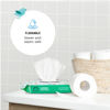 Picture of Amazon Brand - Mama Bear Fragrance Free Hypoallergenic Flushable Toddler Toilet Wipes, 336 Count (8 Packs of 42)