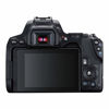 Picture of Canon EOS Rebel SL3 Digital SLR Camera with EF-S 18-55mm Lens kit, Built-in Wi-Fi, Dual Pixel CMOS AF and 3.0 Inch Vari-Angle Touch Screen, Black