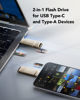 Picture of Lexar D40E 256GB Dual Drive USB 3.2 Gen 1 Type-C™ Jump Drive, USB-C Flash Drive Metal Housing Swivel Design Thumb Drive (LJDD40E256G-BNSNG)