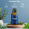 Picture of Breathe Essential Oil Blend 30 ml - Breath Easy Essential Oil Sinus Relief - Breathe Ease Essential Oils for Humidifier, Diffuser, Aromatherapy - Nexon Botanics