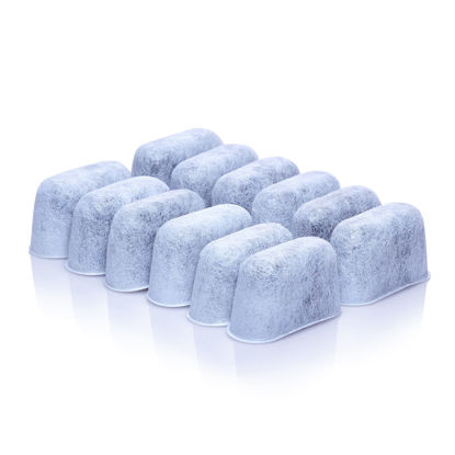 Picture of 12 Water Filters for Cuisinart Coffee Makers - Fits all Cuisinart Coffee Brewers - Replacement Charcoal Water Filters for Cuisinart