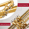 Picture of Glory Bb Trumpet - Trumpets for Beginner or Advanced Student with Case, pair of gloves-Gold