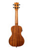 Picture of Kala KA-CE Mahogany Concert Electric Ukulele