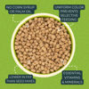 Picture of ZuPreem Natural Bird Pellets, Daily Bird Food for Parakeet, Budgie, Parrotlet, Dove, Core Nutrition for Small Birds, Added Vitamins, Made in USA, Parakeet Food, Budgie Food (S, 2.25 lb)