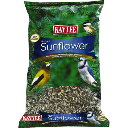 Picture of Kaytee Striped Sunflower Wild Bird Food 5 Pounds