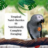Picture of LAFEBER'S Tropical Fruit Nutri-Berries Pet Bird Food, Made with Non-GMO and Human-Grade Ingredients, for Parrots, 3 lb