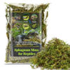 Picture of Sukh Sphagnum Moss for Reptiles - Terrarium Reptiles Moss Green Dried Peat Moss Habitat Bedding Moss for Snakes Turtle Frog Gecko and Other Reptiles Substrate (3, Ounces)
