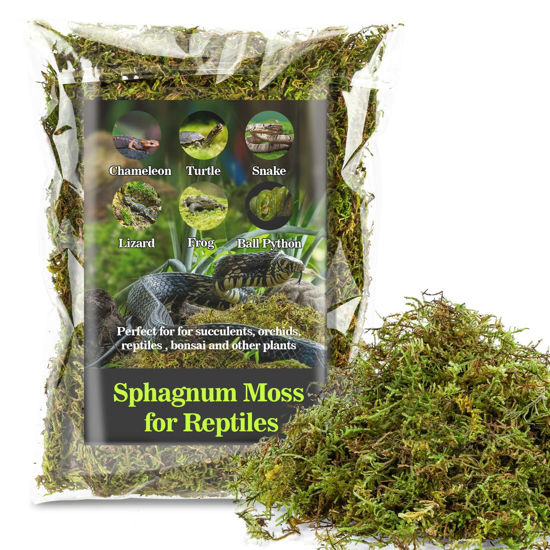 Picture of Sukh Sphagnum Moss for Reptiles - Terrarium Reptiles Moss Green Dried Peat Moss Habitat Bedding Moss for Snakes Turtle Frog Gecko and Other Reptiles Substrate (3, Ounces)