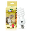 Picture of LUCKY HERP UVA UVB Reptile Light 10.0, Desert UVB 150 Compact Fluorescent Lamp, UVB Light for Reptiles 23W, UVA UVB Reptile Light Bulb, UVB Bulb for Reptiles Bearded Dragons Lizards Tortoises Snakes