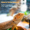 Picture of LUCKY HERP UVA UVB Reptile Light 10.0, Desert UVB 150 Compact Fluorescent Lamp, UVB Light for Reptiles 23W, UVA UVB Reptile Light Bulb, UVB Bulb for Reptiles Bearded Dragons Lizards Tortoises Snakes