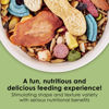 Picture of Kaytee Fiesta Mouse & Rat Food, Nutritious and Fun Blend, Supports Dental Health and Digestion, 4.5 pounds