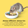 Picture of Kaytee Fiesta Mouse & Rat Food, Nutritious and Fun Blend, Supports Dental Health and Digestion, 4.5 pounds