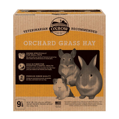 Picture of Oxbow Animal Health Orchard Grass Hay - All Natural Grass Hay for Chinchillas, Rabbits, Guinea Pigs, Hamsters, Gerbils & Other Small Pets - Fiber Rich- Grown in the USA- 9 lb.