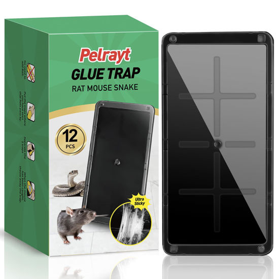 Picture of Pelrayt Glue Mouse & Rat Traps Indoor for Home -12 Pack Large Heavy Duty Glue Traps for Safe Home Pest Control. Pre-Scented, Non-Toxic Sticky Boards for Mice, Rats & More. Easy to Use