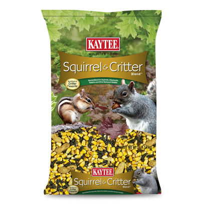 Picture of Kaytee Squirrel & Critter Seed Blend, 10 lb