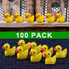Picture of 100 Pcs Mini Resin Ducks Bulk Tiny Ducks Set for Potted Miniature Decoration Garden Dollhouse Cake Decoration DIY Slime Kit Craft Charms Party Toys