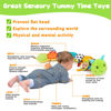 Picture of Baby Sensory Toy 0-6 Month Music Animal Stuffed Plush Caterpillar Toy for Infant 0-3-6 Month Tummy Time with Baby Mirror Crinkle Rattle for 6-12 Month Texture Toy for Newborn Boys Girls Birthday Gifts